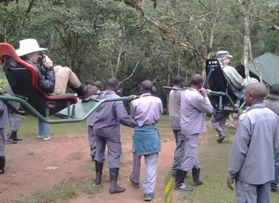 Cost of Hiring a Sedan Chair for Gorilla Trekking in Bwindi