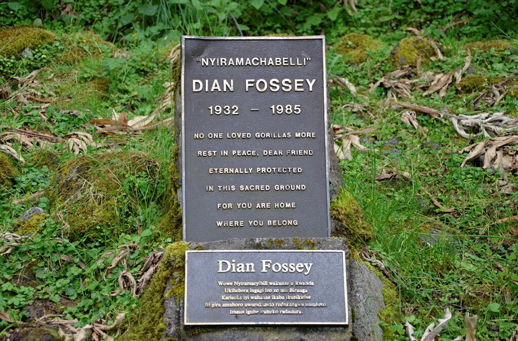 Hike to Dian Fossey Tomb in Volcanoes National Park