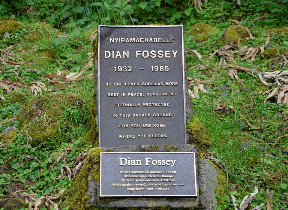 Hike to Dian Fossey Tomb in Volcanoes National Park