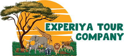 Experiya Tour Company Logo