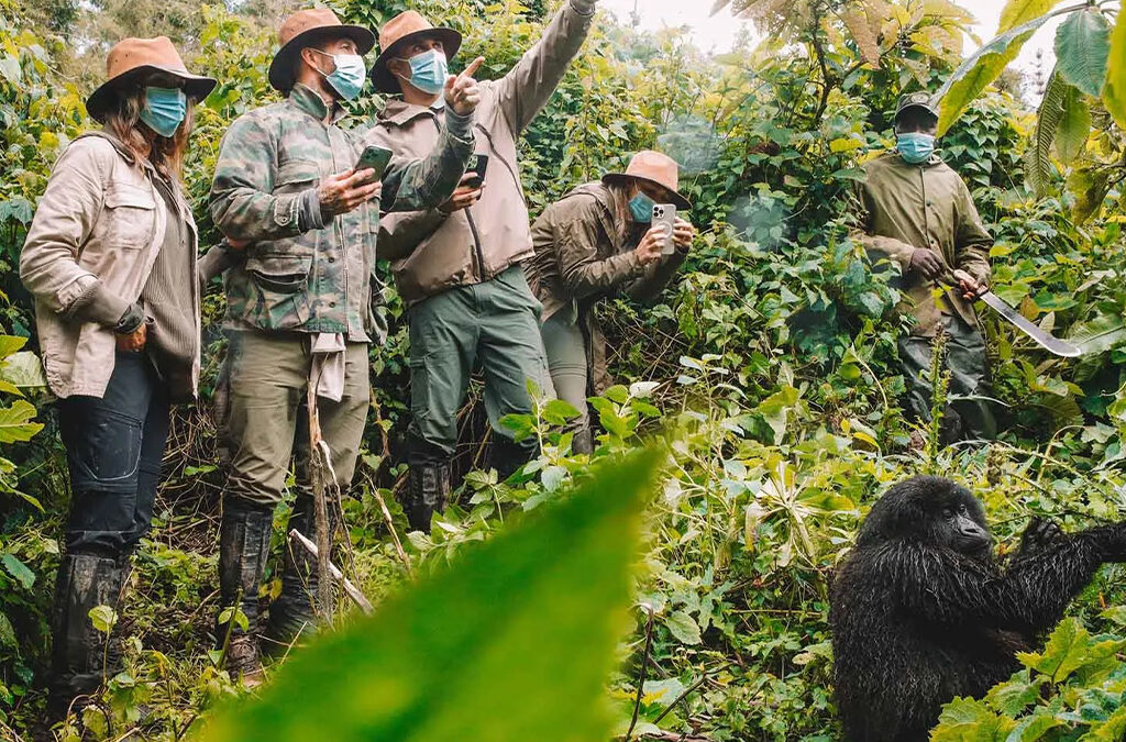 Uganda Gorilla Trekking from Korea through Kigali, Rwanda