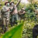 Uganda Gorilla Trekking from Korea through Kigali, Rwanda