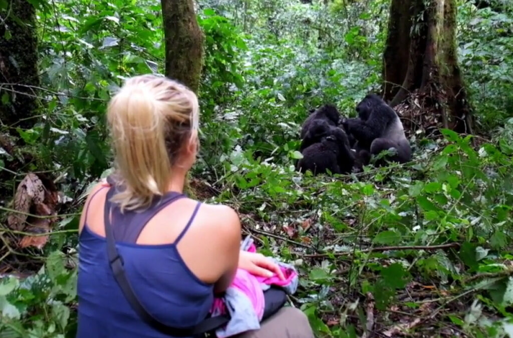 Is There a Gorilla Habituation Experience in Rwanda?
