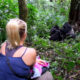 Is There a Gorilla Habituation Experience in Rwanda?