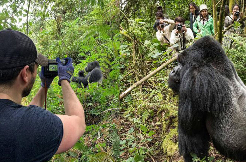 Photography Tours in Rwanda Rwanda