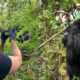 Photography Tours in Rwanda Rwanda