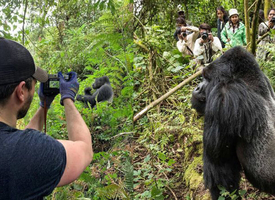 Photography Tours in Rwanda Rwanda