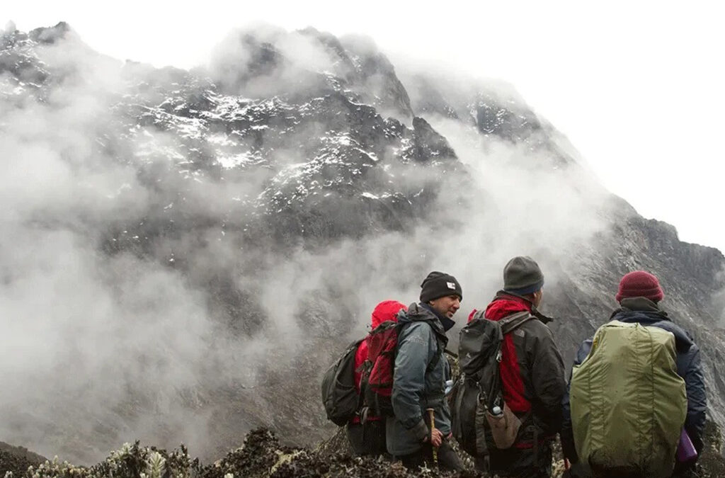 Gorilla Trekking and Mount Rwenzori Hike
