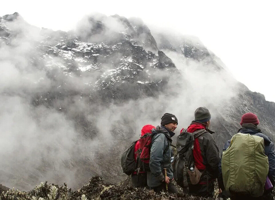 Gorilla Trekking and Mount Rwenzori Hike