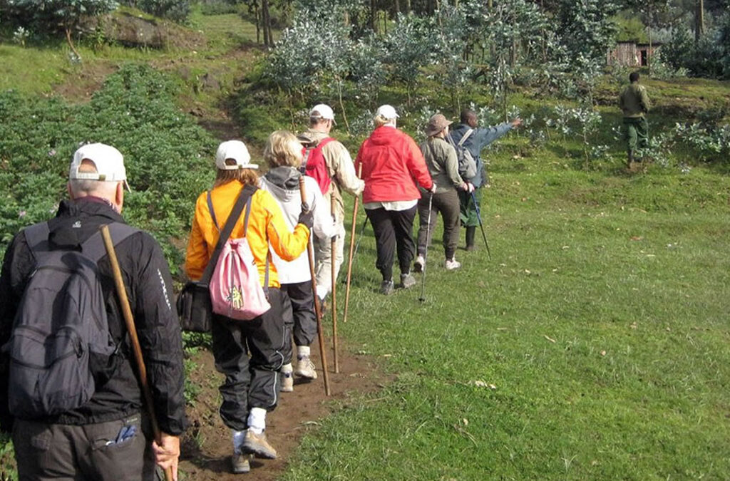 Ngezi Nature Walk, Rwanda