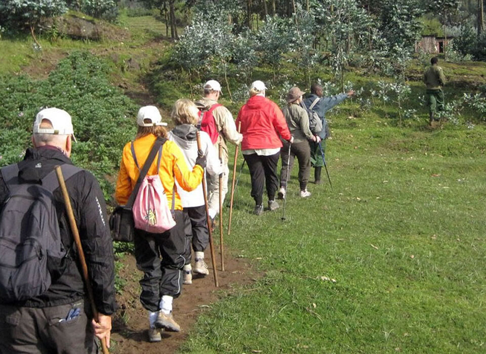 Ngezi Nature Walk, Rwanda