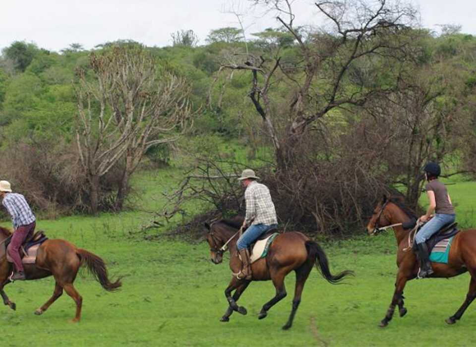 Quad Biking and Horse Riding in Jinja Uganda