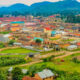 Kisoro Airport and Gorilla Trekking at Bwindi