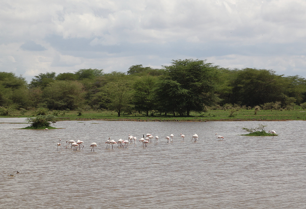 Lake Manyara National Park