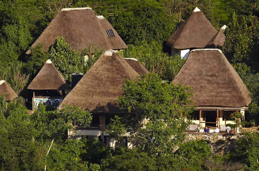 Which Lodge Is Near the Ruhija Gorilla Trekking Starting Point?