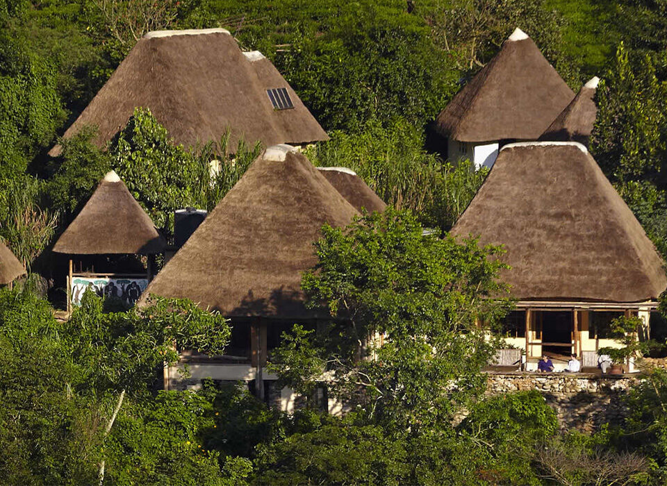 Which Lodge Is Near the Ruhija Gorilla Trekking Starting Point?