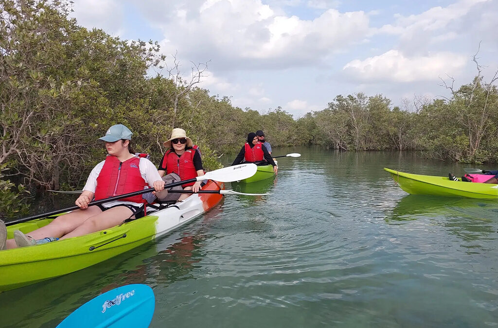 Why You Need to Visit Mangroves National Park