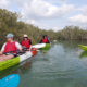 Why You Need to Visit Mangroves National Park
