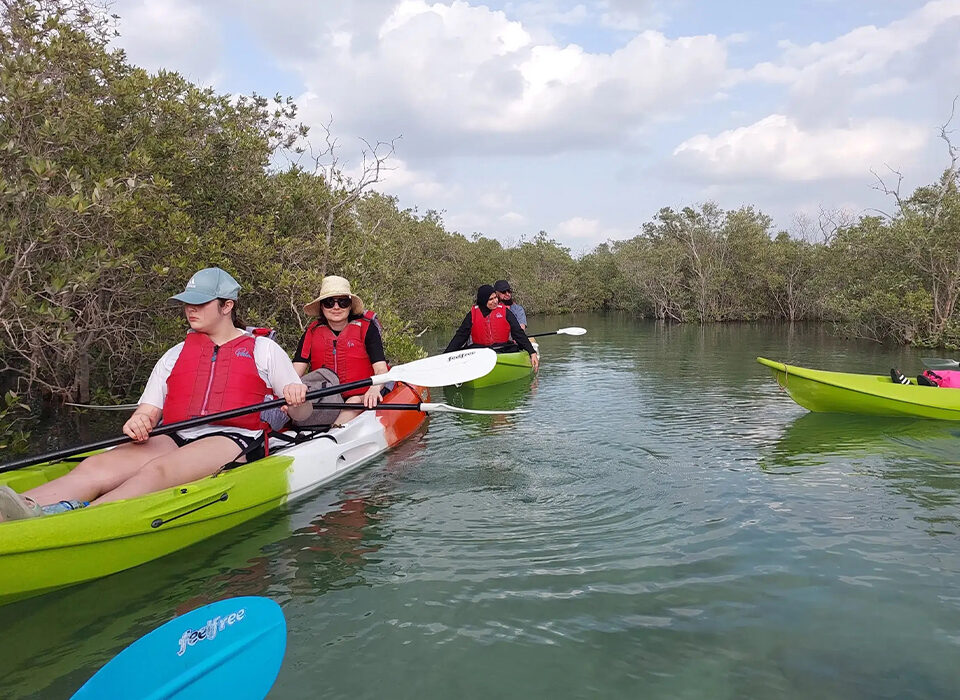 Why You Need to Visit Mangroves National Park