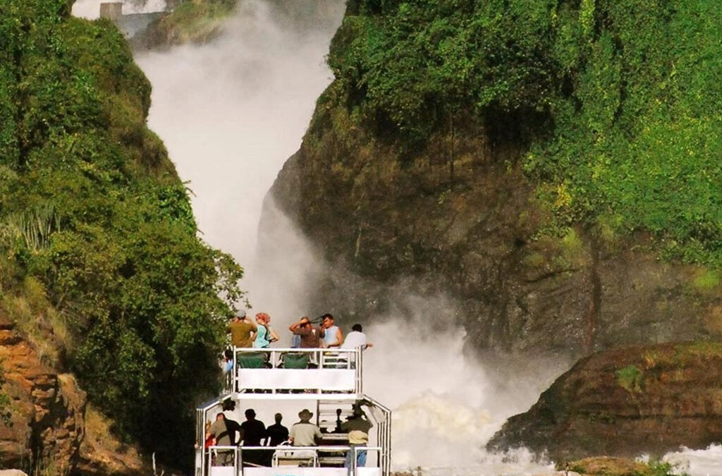 What Makes Murchison Falls National Park Unique Compared to Other Ugandan Parks?