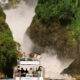 What Makes Murchison Falls National Park Unique Compared to Other Ugandan Parks?