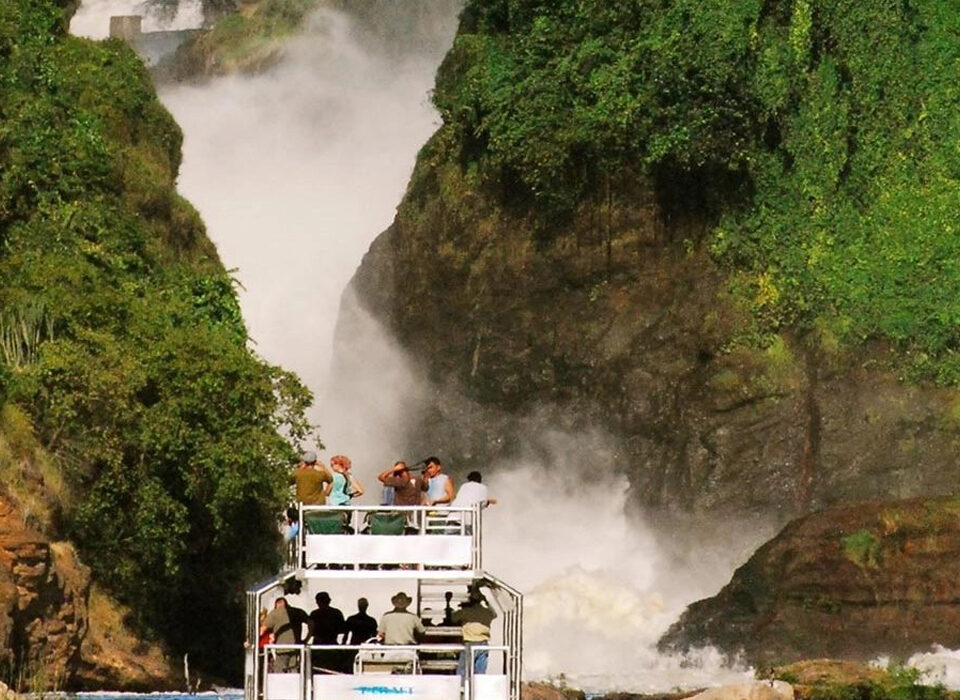 What Makes Murchison Falls National Park Unique Compared to Other Ugandan Parks?