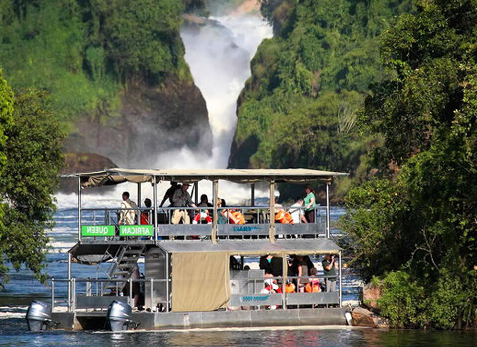 What Makes Murchison Falls National Park Unique Compared to Other Ugandan Parks?
