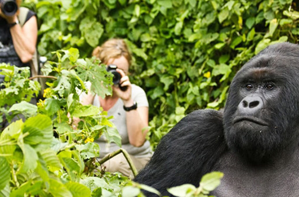 Photography Tours in Rwanda