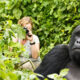 Photography Tours in Rwanda
