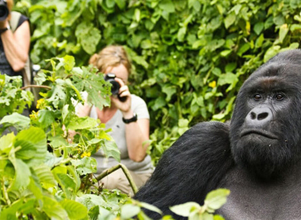 Photography Tours in Rwanda