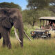 Is a Road Trip Safari the Same as a Guided Safari?