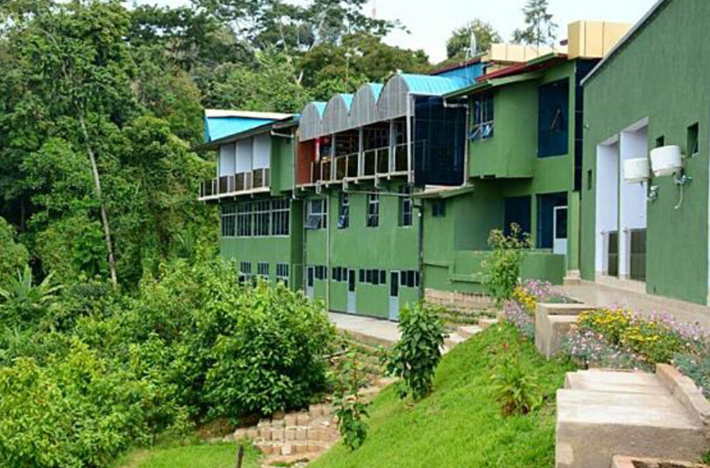 How to Choose the Right Lodge for Chimpanzee Trekking in Rwanda