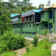 How to Choose the Right Lodge for Chimpanzee Trekking in Rwanda