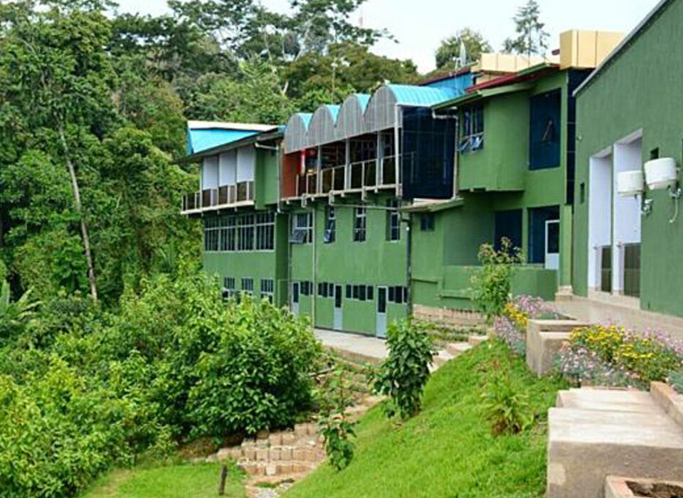 How to Choose the Right Lodge for Chimpanzee Trekking in Rwanda