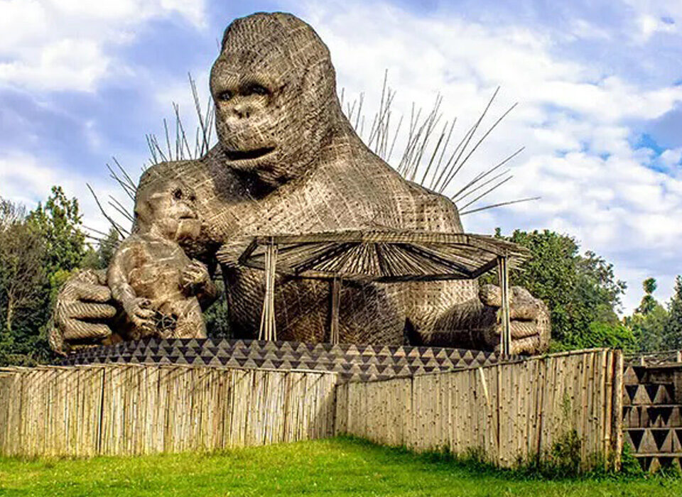 Gorilla Naming Ceremony in Rwanda – Kwita Izina