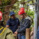 Zip Lining in Nyungwe Forest National Park