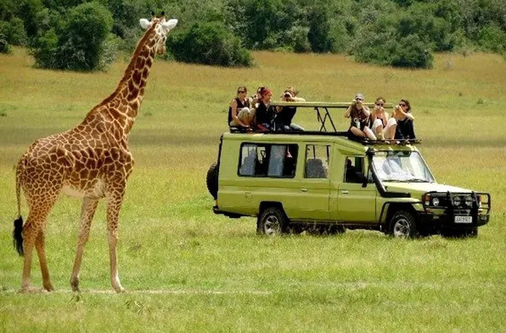 Best Time to Visit Masai Mara