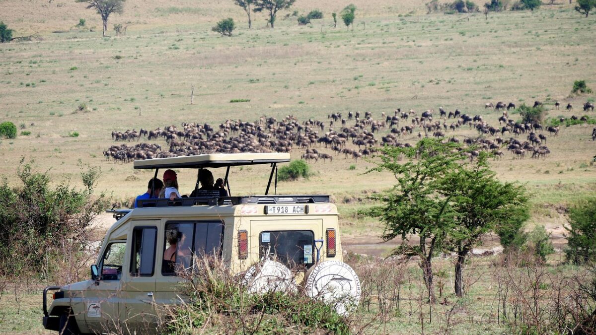 Can Game Drives Be Combined with Other Activities?