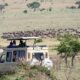 Can Game Drives Be Combined with Other Activities?