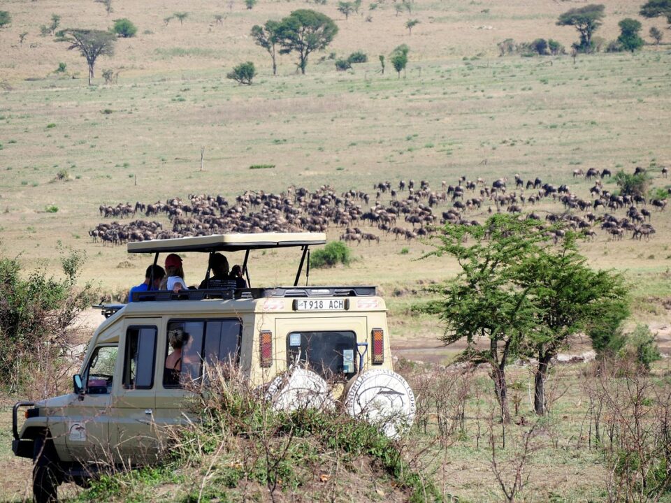 Can Game Drives Be Combined with Other Activities?