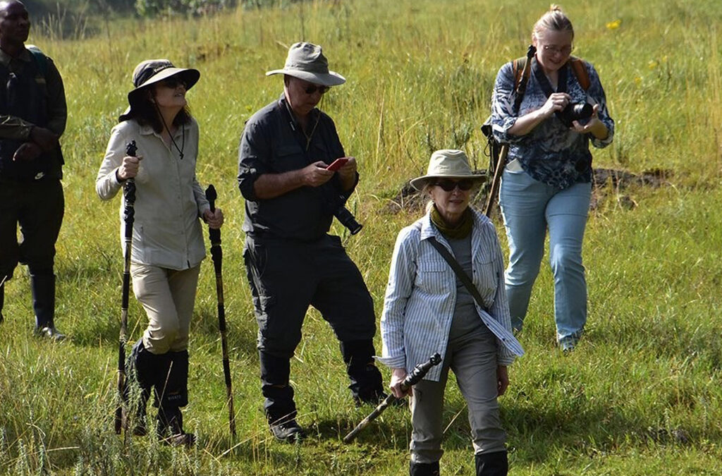 Can You Wear Black for Gorilla Trekking?