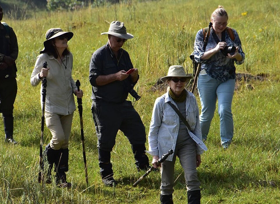 Can You Wear Black for Gorilla Trekking?