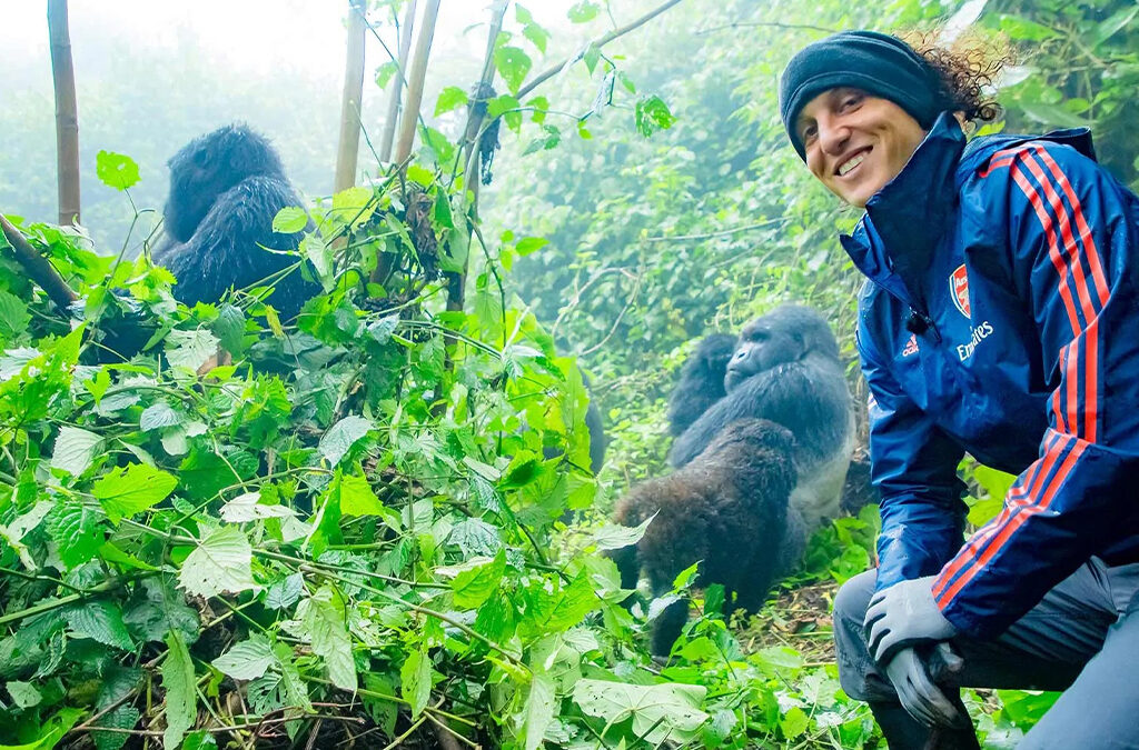 Why Choose a Kenya Safari and Gorilla Trekking Adventure?