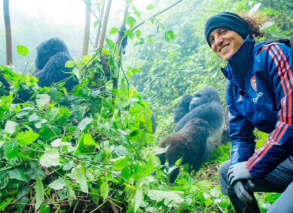 Why Choose a Kenya Safari and Gorilla Trekking Adventure?