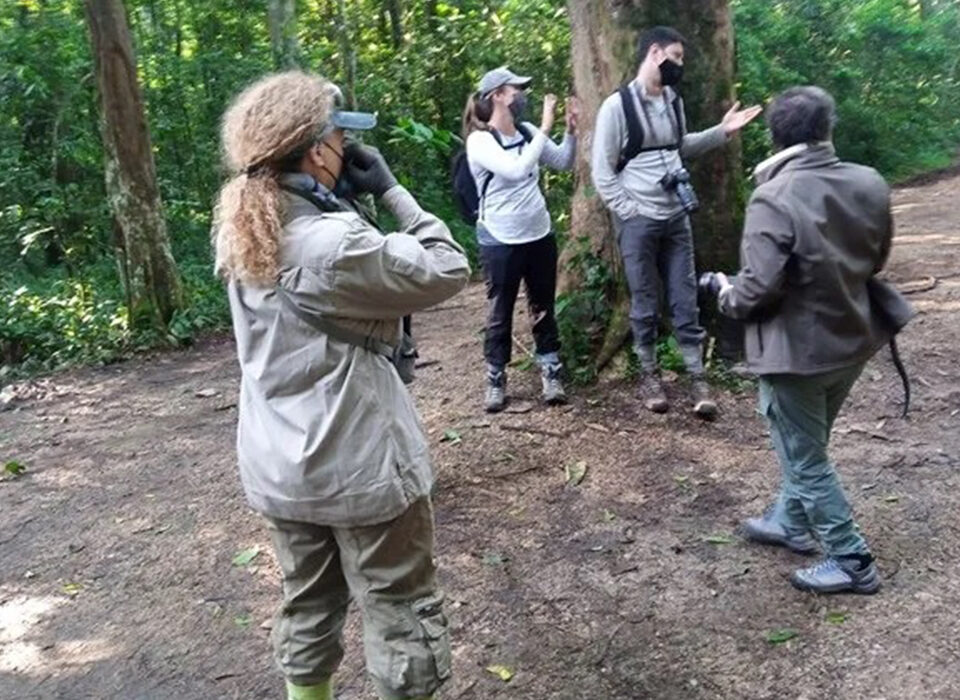 Nyandungu Eco-Park – Kigali’s Urban Green Escape