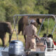 Boat Trips in Akagera National Park