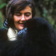Dian Fossey Background, Accomplishments, and Museum in Rwanda