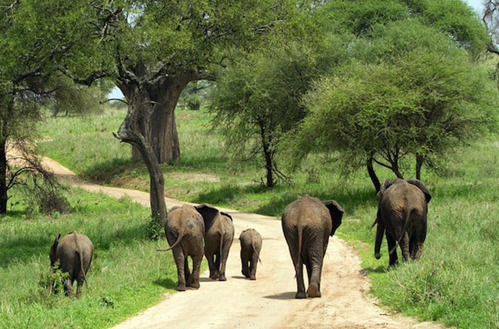 Exploring Uganda’s Most Isolated National Park