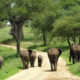 Exploring Uganda’s Most Isolated National Park