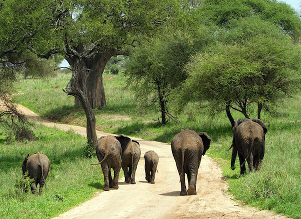 Exploring Uganda’s Most Isolated National Park